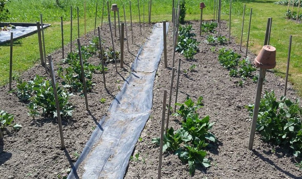 18740100 1737569469603556 7117549769447979100 n 1 18740100 1737569469603556 7117549769447979100 n 1