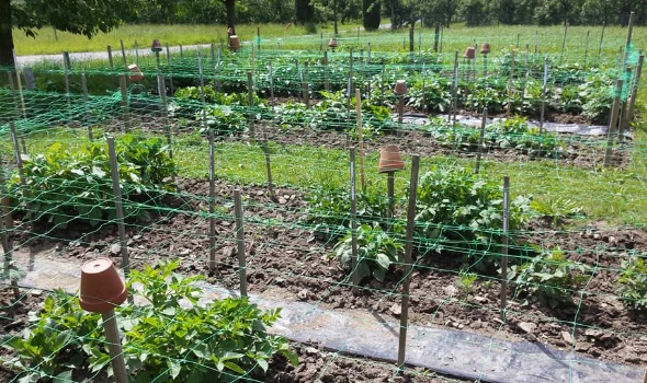 18950937 1748284111865425 2623654450851268582 n 1 18950937 1748284111865425 2623654450851268582 n 1