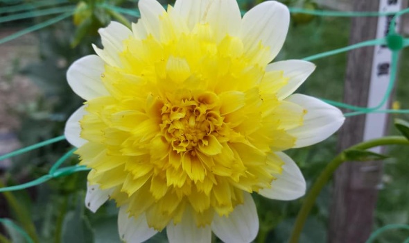 19260745 1767961043231065 3582447325055516603 n 1