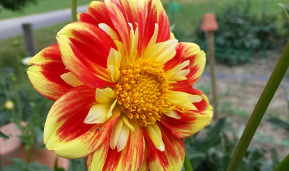 19397103 1767961003231069 655680510140869357 n 1 19397103 1767961003231069 655680510140869357 n 1