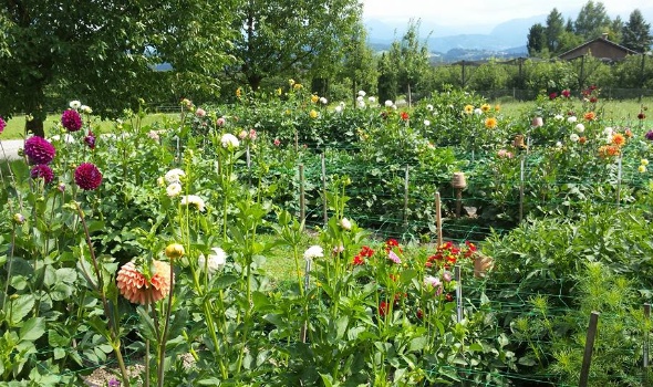 20108230 1791869457506890 31981758059600591 n 1 20108230 1791869457506890 31981758059600591 n 1