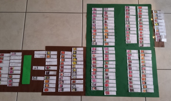 20170203 163942 20170203 163942