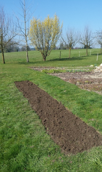 20170316 104934 20170316 104934