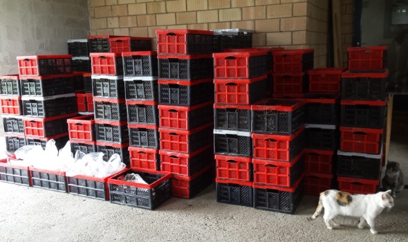 20170403 135628 20170403 135628