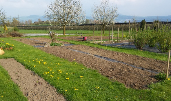 20170403 173051 20170403 173051