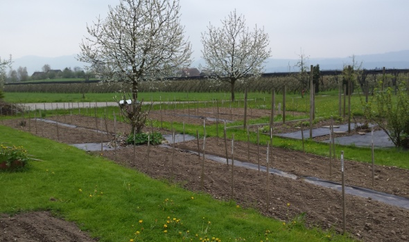 20170406 111629 20170406 111629