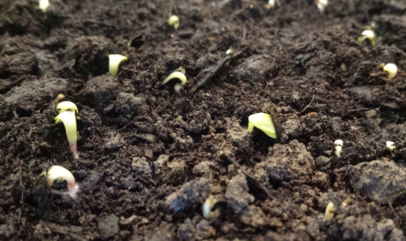 20170413 085122 20170413 085122