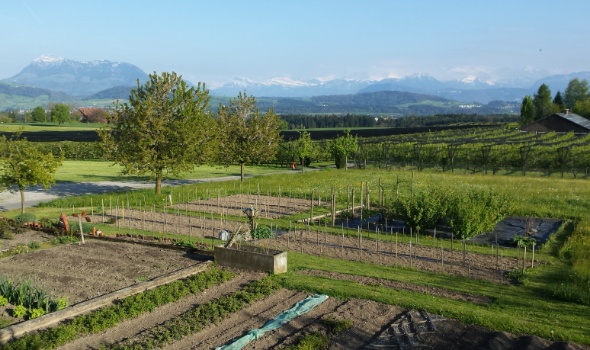 20170423 182454 20170423 182454