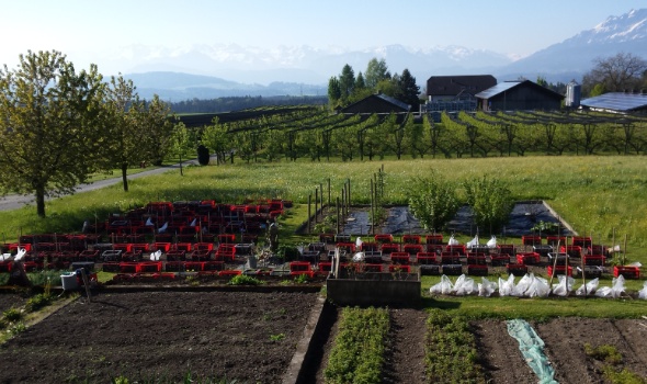 20170424 091847 20170424 091847