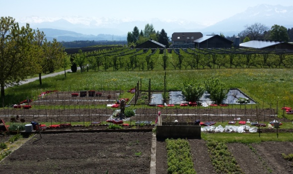 20170424 131139 20170424 131139