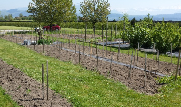 20170424 141301 20170424 141301