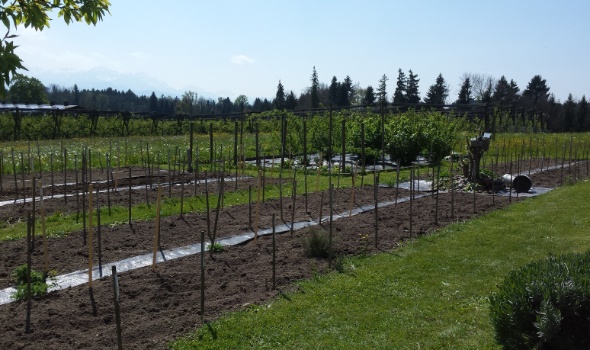 20170424 141412 20170424 141412