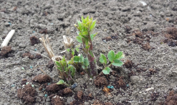 20170508 132658 20170508 132658