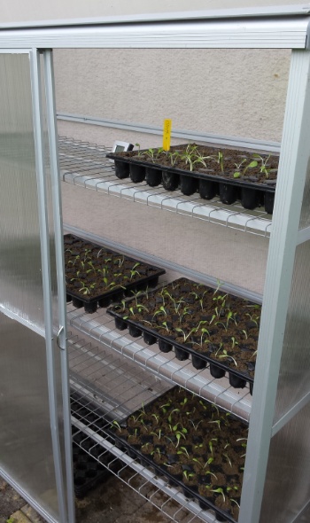 20170508 150340 20170508 150340