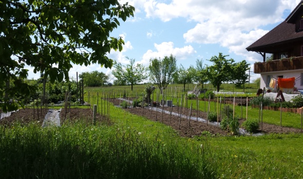 20170515 153009 20170515 153009