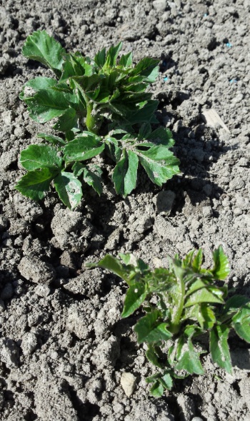 20170515 162343 20170515 162343