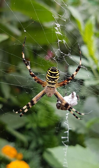 20430088 1813466438680525 1247953029445904458 n 1 20430088 1813466438680525 1247953029445904458 n 1