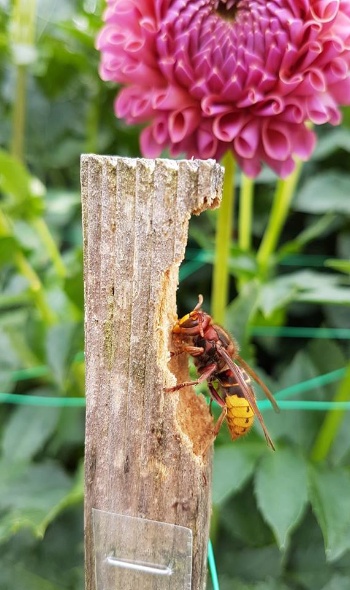 20479583 1813749958652173 6702153370033070871 n 1 20479583 1813749958652173 6702153370033070871 n 1