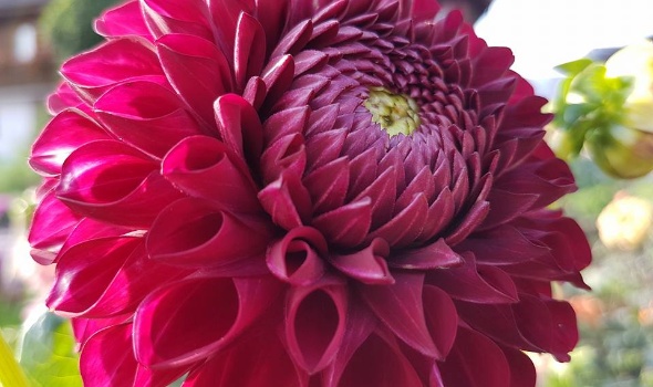 20729425 1828042573889578 2000223164705219801 n 1