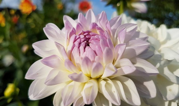 20729510 1828042323889603 5976418438531183547 n 1