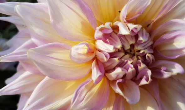 20729678 1828042187222950 6259862096291593646 n 1 20729678 1828042187222950 6259862096291593646 n 1