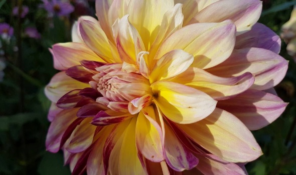 20770130 1828042423889593 2176178077315166250 n 1