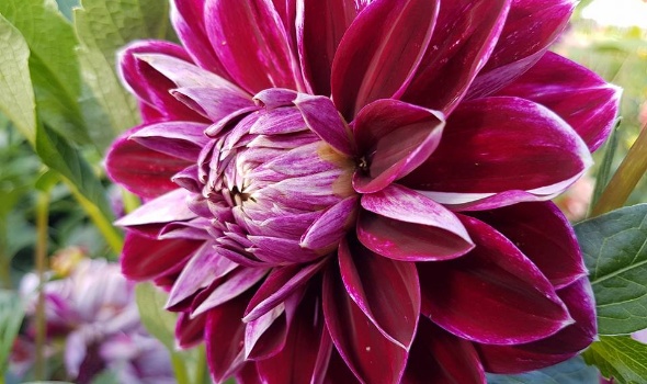 20800029 1828042253889610 3173632284804871930 n 1