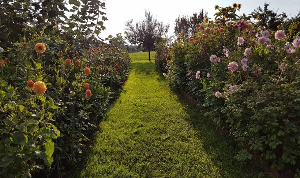 21192960 1850353508325151 183974724229244377 n 1 21192960 1850353508325151 183974724229244377 n 1