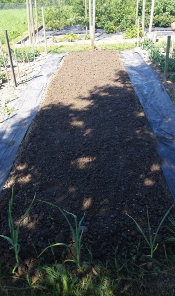 18815292 1735936173100219 7390426769105299645 o 18815292 1735936173100219 7390426769105299645 o