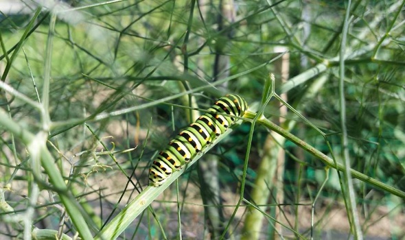 19275032 1759676167392886 2507567262470555892 n 19275032 1759676167392886 2507567262470555892 n