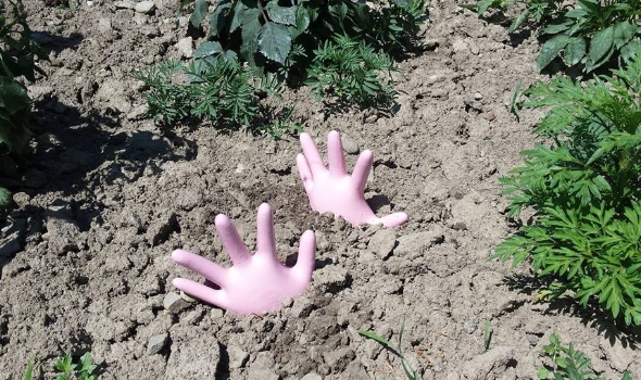 19399957 1763221860371650 5499641152947984609 n 19399957 1763221860371650 5499641152947984609 n