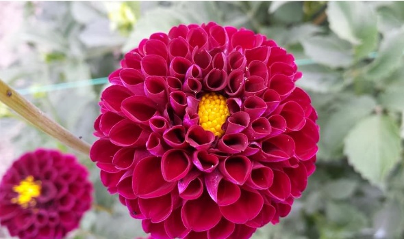 19397004 1767961106564392 4198145568718281132 n