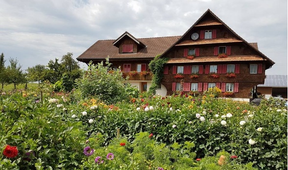 20479535 1813506888676480 5916584871085025323 n 20479535 1813506888676480 5916584871085025323 n