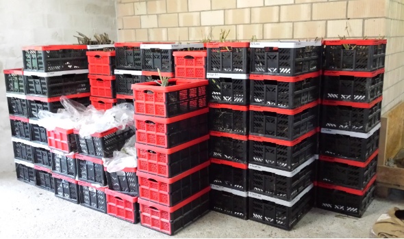 20141110 150730 20141110 150730