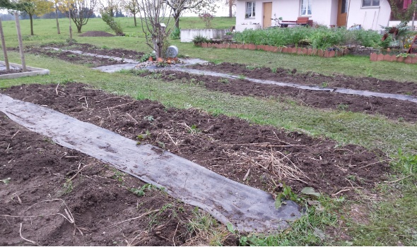 20141110 151150 20141110 151150