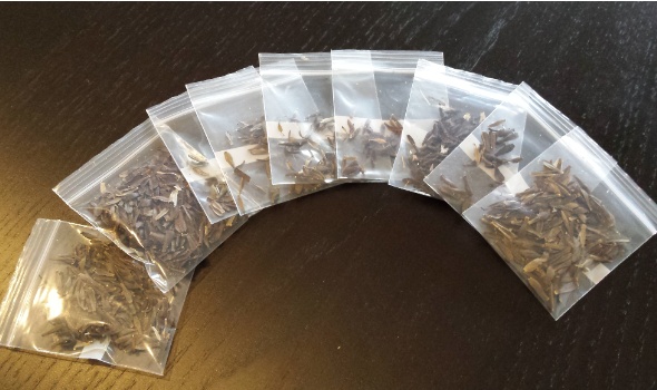 20150105 104918 20150105 104918