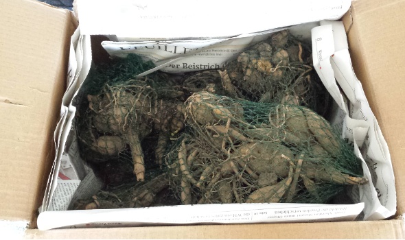 20150318 122634 20150318 122634