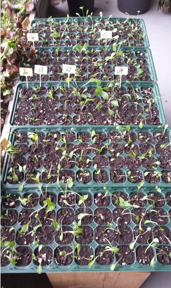 20150417 120244 20150417 120244