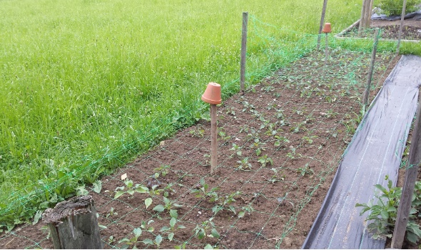 20150608 105045 20150608 105045