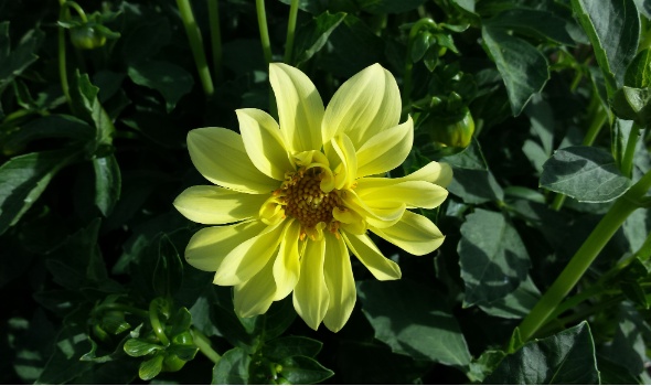 20150614 182901 20150614 182901