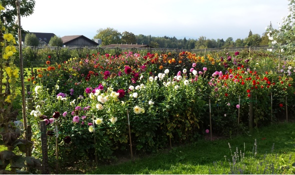 20150929 095557 20150929 095557