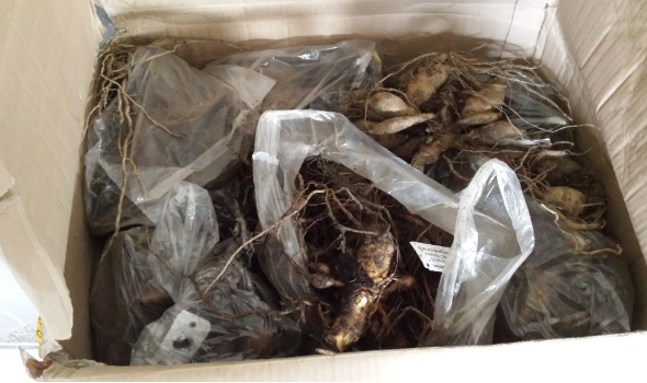 20151117 1201092 20151117 1201092