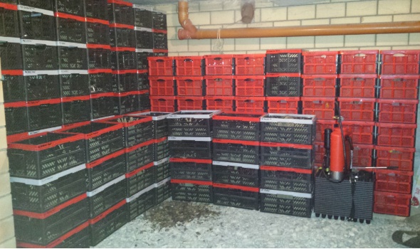 20151221 105249 20151221 105249