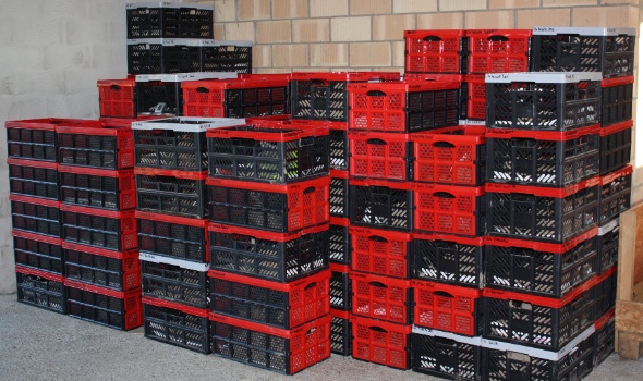 dahlien 2015 dahlien 2015