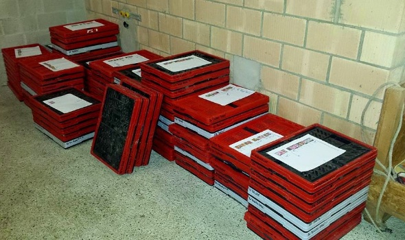 Dahlienkisten Dahlienkisten