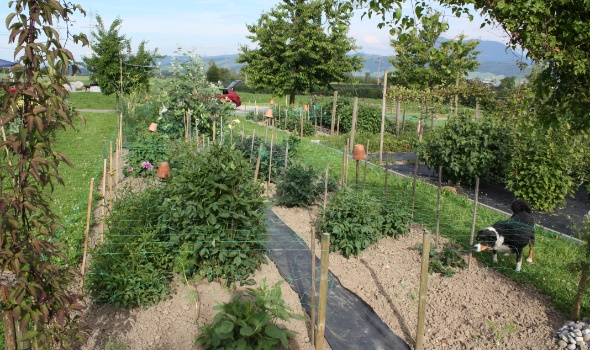 IMG 0387 2 IMG 0387 2