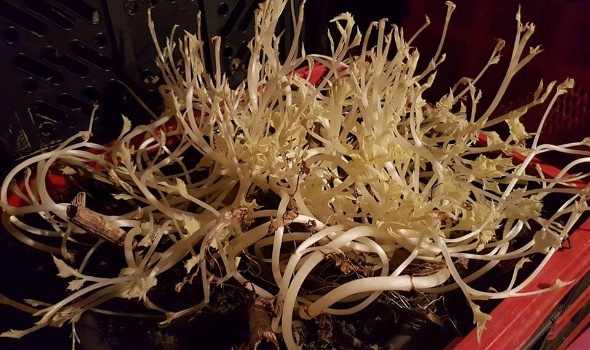 26733829 2049587468401753 1571390062649353873 n 26733829 2049587468401753 1571390062649353873 n