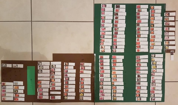 27540799 2018073588219808 5323752069183565540 n 27540799 2018073588219808 5323752069183565540 n