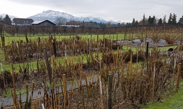 23622145 1933093953384439 2036519822130225440 n 23622145 1933093953384439 2036519822130225440 n