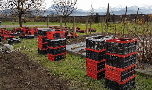 23795006 1936713286355839 771552543617106922 n